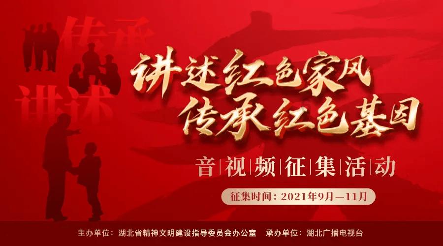 最银南 | 老白茶怎么煮,5个妙招超好喝