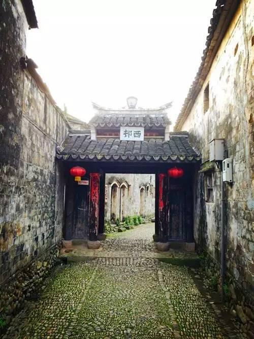 萨迪克辟谣诈伤:尼日利亚队医认为我半月板受伤,主帅因此替换我